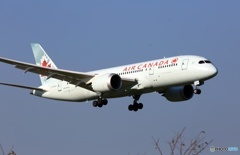 Air Canada 787-8 C-GHOY