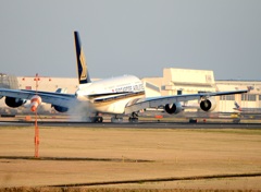 到着 SINGAPORE A380-841