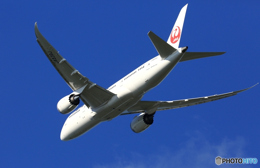 JAL 787-8 JA839J 離陸　