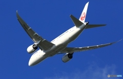 JAL 787-8 JA839J 離陸　