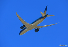 「青い空」が一番 Vietnam 787-9 VN-A866