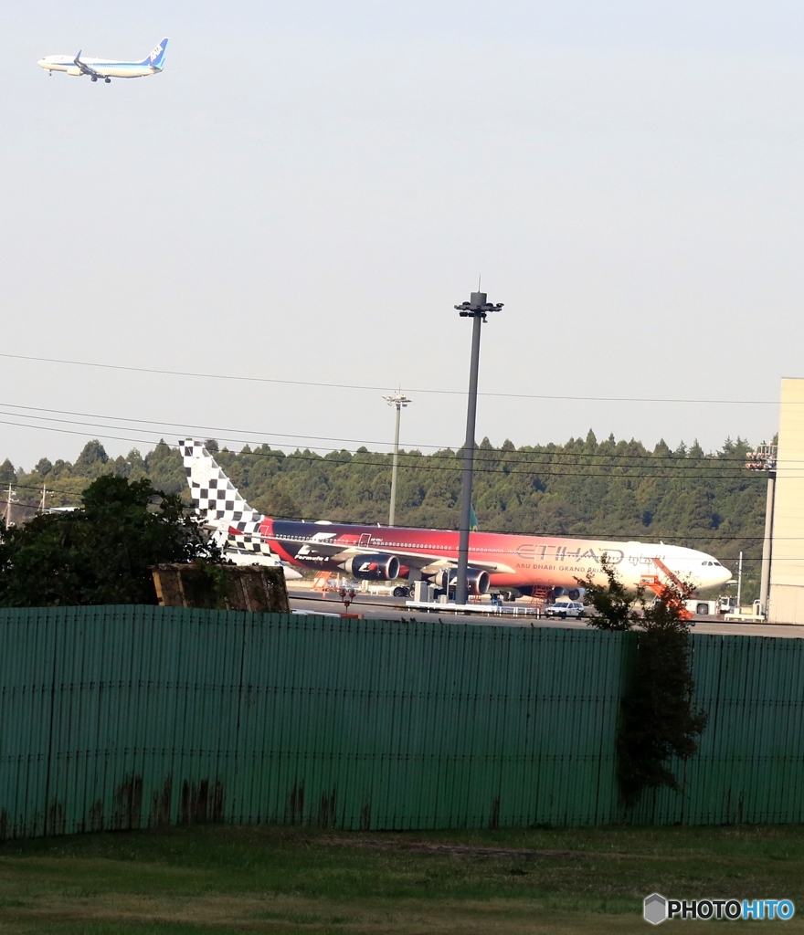 こんな所にいたの？