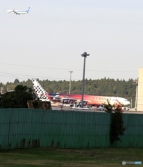 こんな所にいたの？