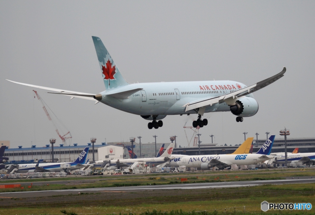 着陸　Air Canada 787-8