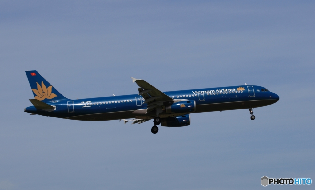 vietnam A321-231 到着　