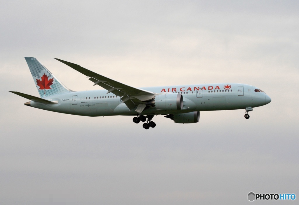 Air Canada 787-8 到着　