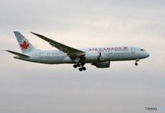 Air Canada 787-8 到着　