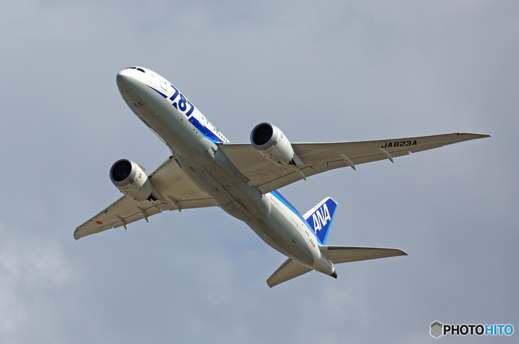 ANA 787-8 JA823A 飛行 