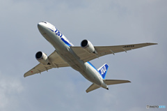 ANA 787-8 JA823A 飛行 