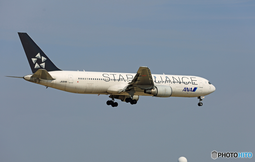 「青色が好き」 ANA STAR 767-381 JA614A 着陸