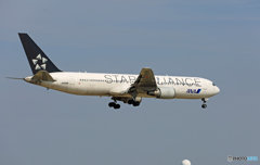 「青色が好き」 ANA STAR 767-381 JA614A 着陸