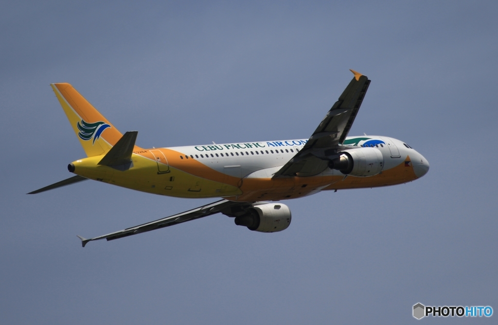 出発　CEBU A320-214