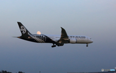 「月」とAir New Zealand B787-9 ZK-NZH