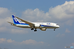 「ぶるー」 ANA 787-8 JA834A 到着 「ぶるー」 ANA 787-8 JA834A 到着