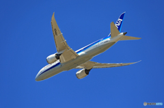 「そらー」 ANA 787-8 JA840A離陸