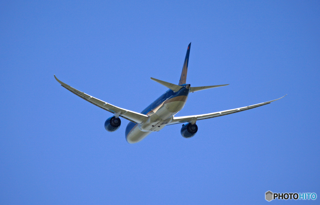 飛行 Vietnam 787-9 VN-A865