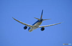 飛行 Vietnam 787-9 VN-A865