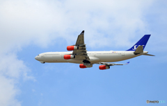 「良い空~」 SAS A340-313 OY-KBC離陸 「良い空~」 SAS A340-313 OY-KBC離陸