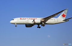 Air CANADA  787-8 C-GHQQ 着陸 