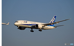 ANA 787-8 JA827A 到着 