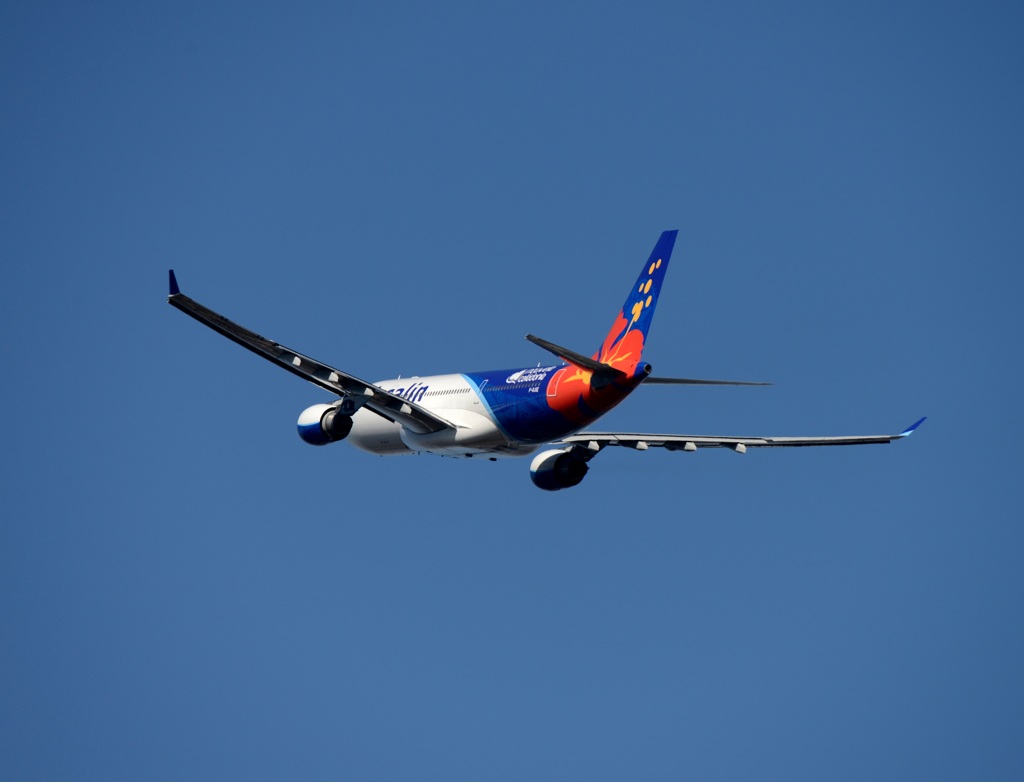 Air Calin A330-200 出発