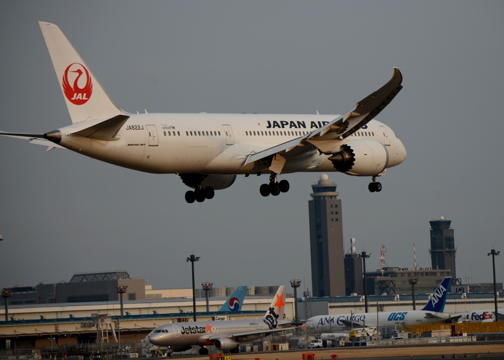 JAL 787-8 到着