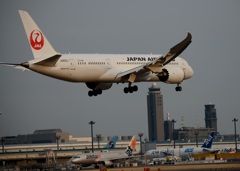 JAL 787-8 到着