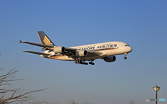 SINGASPORE A380-841 9V-SKN