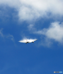 JAL 787-9 JA865J 「べいぱー」