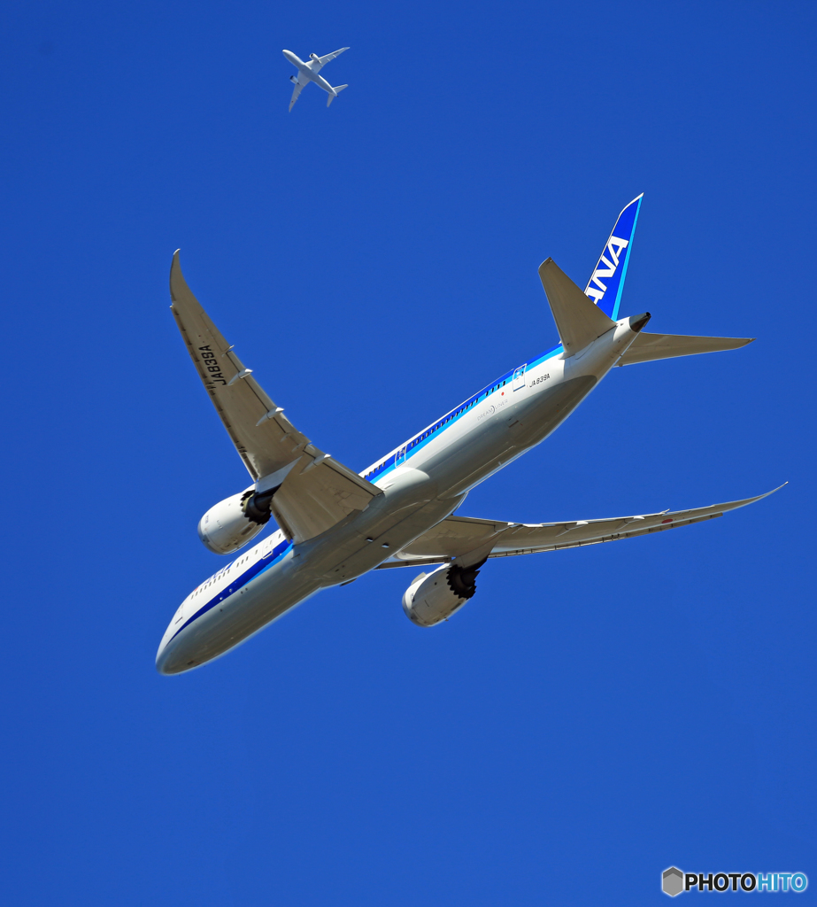 「W離陸」 ANA 787-8 JA839A「ぶるー」