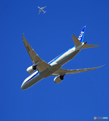 「W離陸」 ANA 787-8 JA839A「ぶるー」