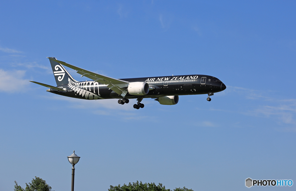 到着Air New Zealand All Blacks B787-9