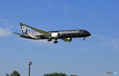 到着Air New Zealand All Blacks B787-9