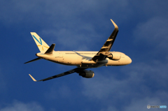 出発　Vanilia A330-223