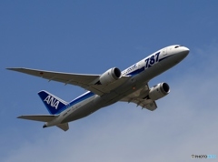飛行　ANA 787-8 