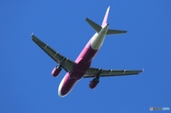 出発 peach A320-200 JA802P