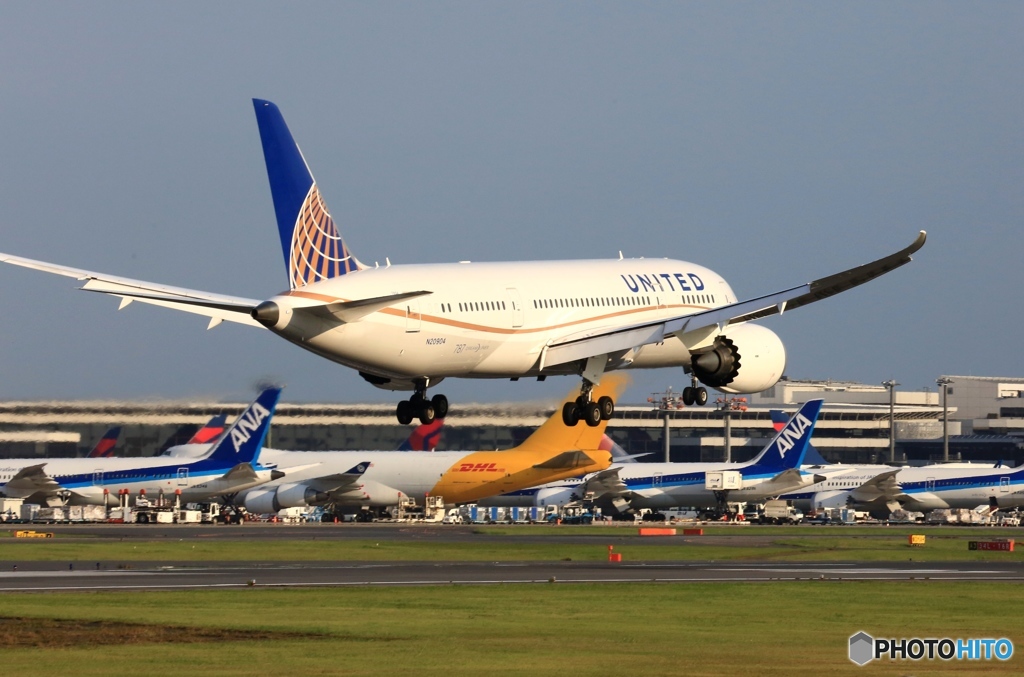 到着　UNITED 787-8 N20904 
