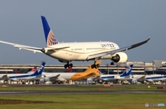 到着　UNITED 787-8 N20904 