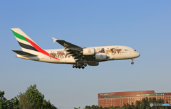 ✈　エミレーツ特別塗装A380 動物愛護機　✈