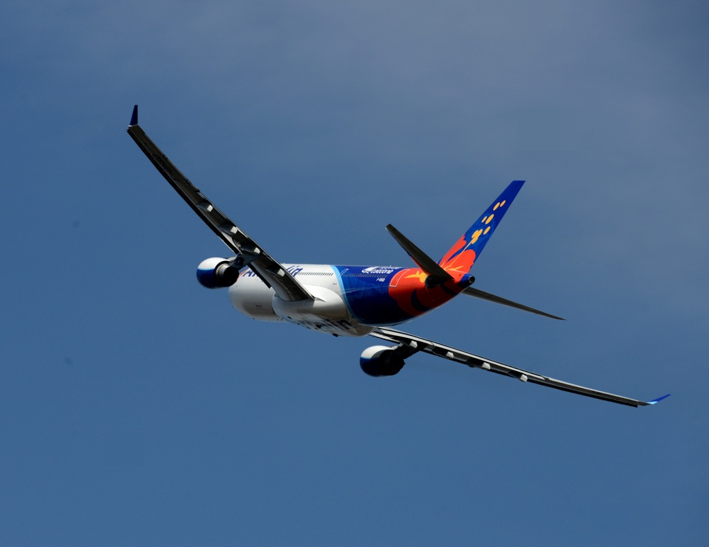 Air Calin A330-200  飛び立ち