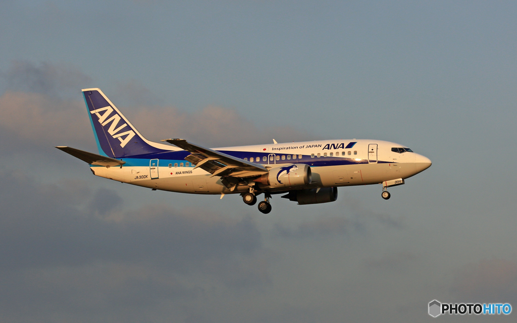 着陸 ANA 737-500 JA300K