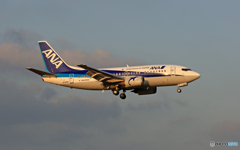 着陸 ANA 737-500 JA300K