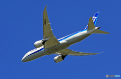 「青空」 ANA 787-8 JA827A 出発  