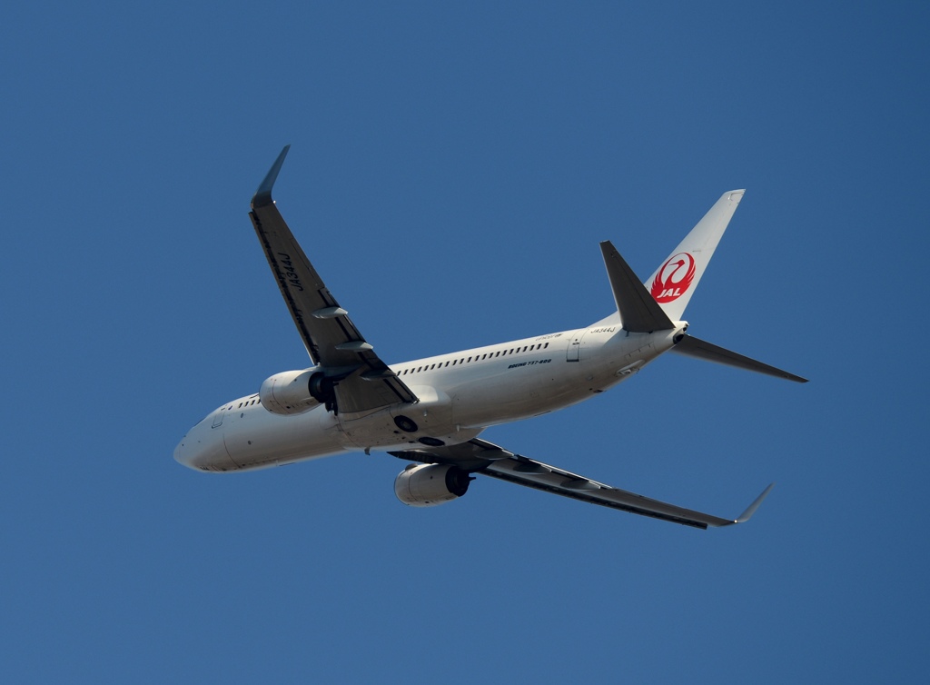 JAL 737-800 離陸