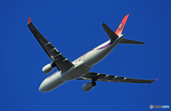 飛行　Trans Asia A330-343 B-22105