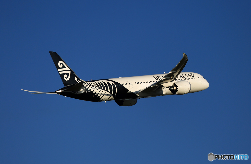 ✈Air New Zealand B787-9 ZK-NZG:Takeoff
