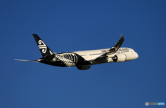 ✈Air New Zealand B787-9 ZK-NZG:Takeoff