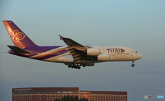 到着 THAI A380-841 HS-TUD