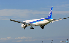 [青い空]  ANA 777-381 JA733A