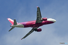 飛び立ち Peach A320-214 JA801P